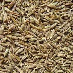 Spices